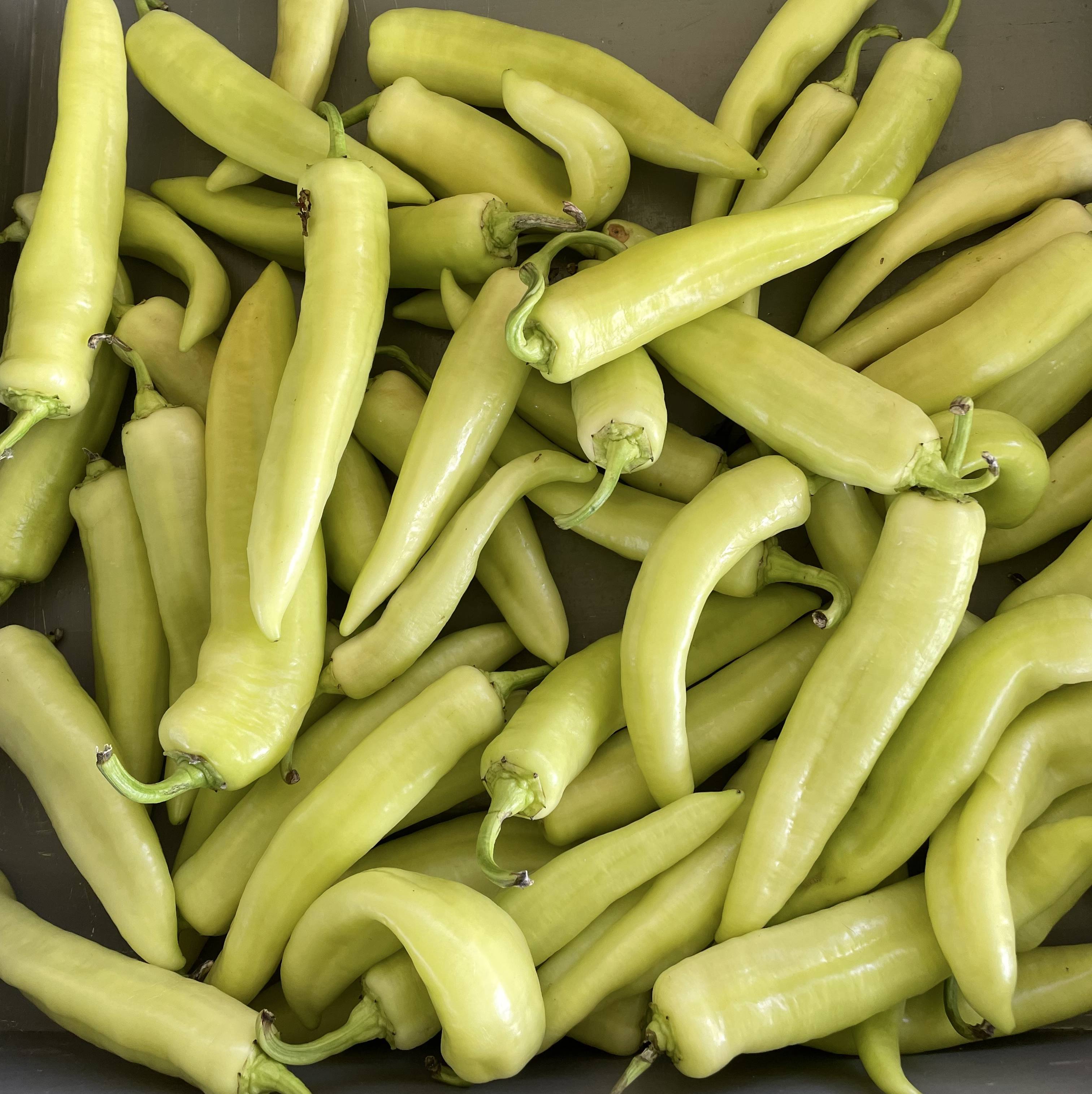 Banana Pepper Display